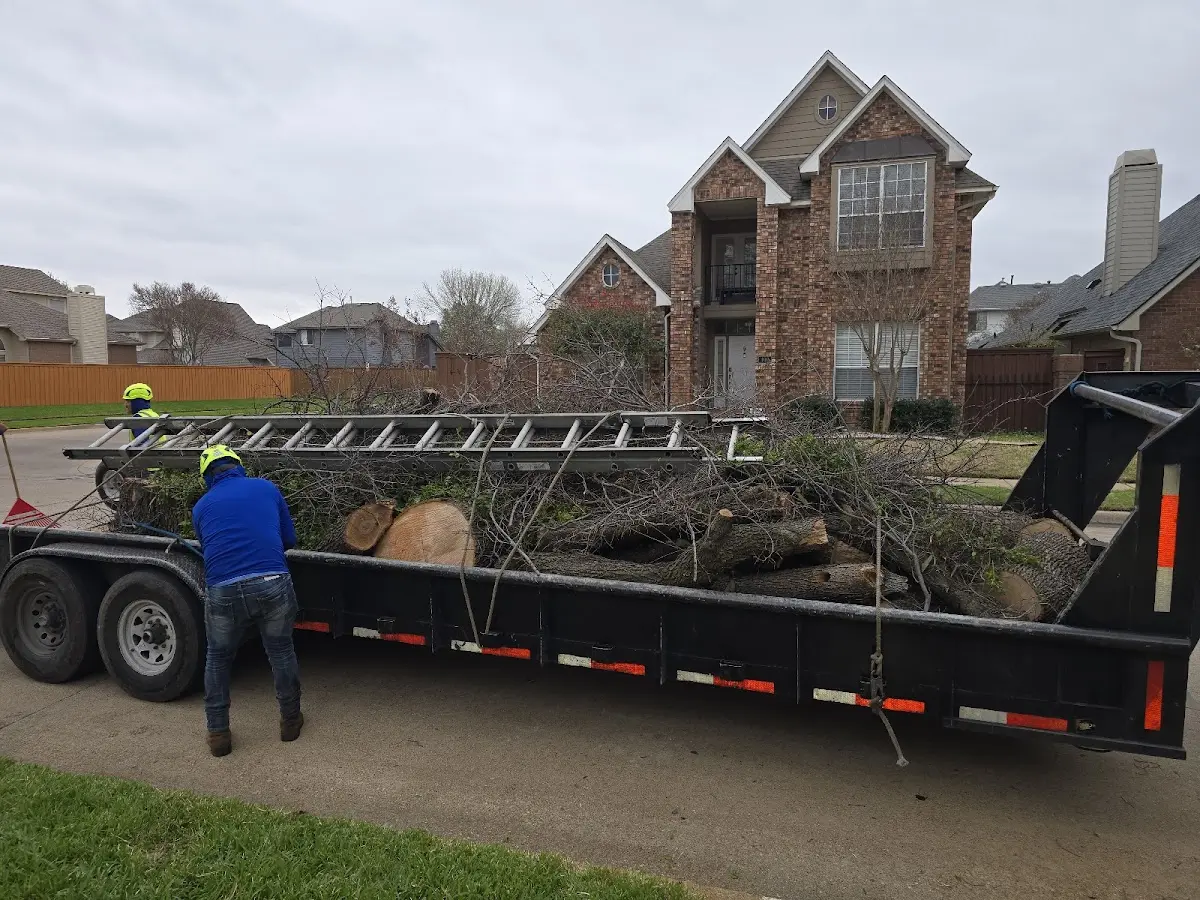 Expert Tree Fertilization with proper safety equipment in Kopperl